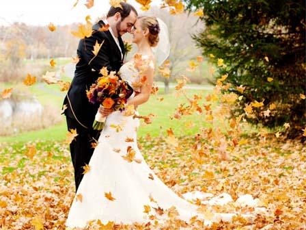 Nằm mơ thấy đi vệ sinh đánh số mấy? Giải mã chi tiết