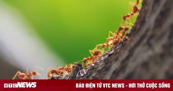 Giải Mã Giấc Mơ Thấy Mình Chết Đuối Đánh Con Gì?