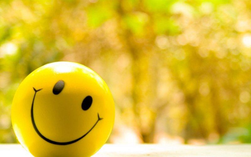 Giải Mã Giấc Mơ Thấy Mèo Cắn Chuột Và Con Số May Mắn