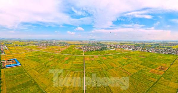 Giải Mã Giấc Mơ Thấy Mình Bị Người Khác Chém Đánh Con Gì?