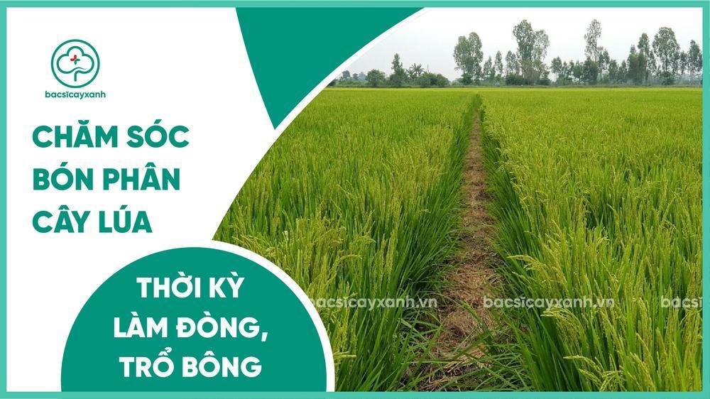 Giải Mã Giấc Mơ Thấy Ma Mặc Áo Trắng Đánh Đề Con Gì?