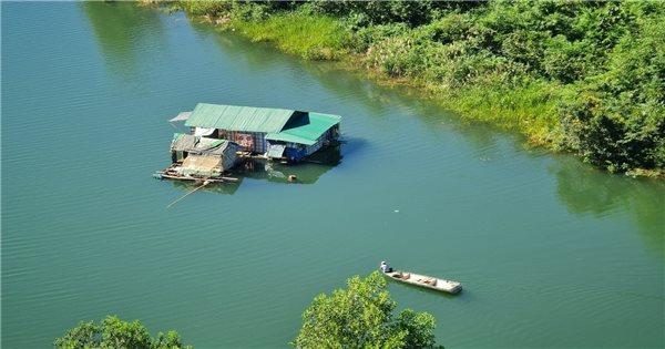 Giải Mã Giấc Mơ Thấy Câu Được Cá