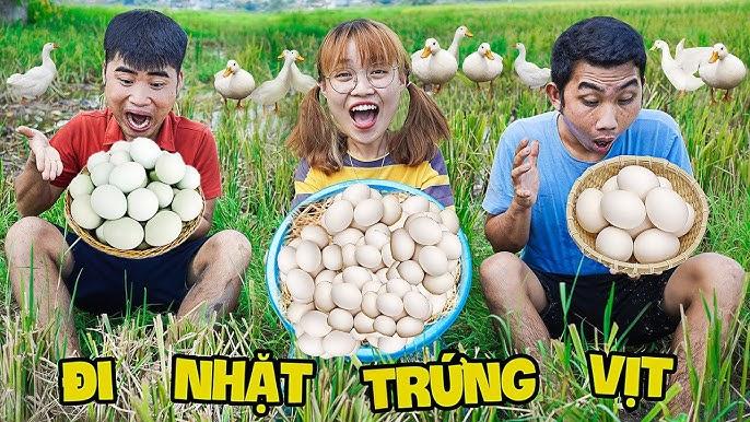 Lượm Nhiều Hột Vịt