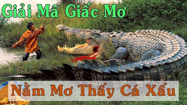 Giải Mã Giấc Mơ Thấy Làm Tóc: Điềm Báo &amp; Con Số May Mắn