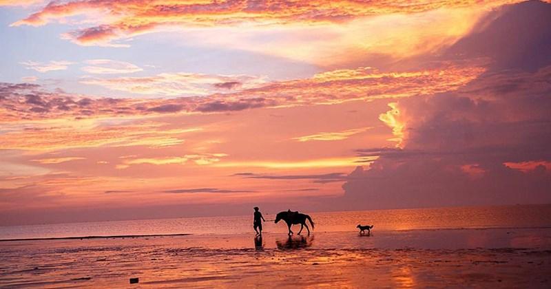 Mặt trời mọc rực rỡ trên biển