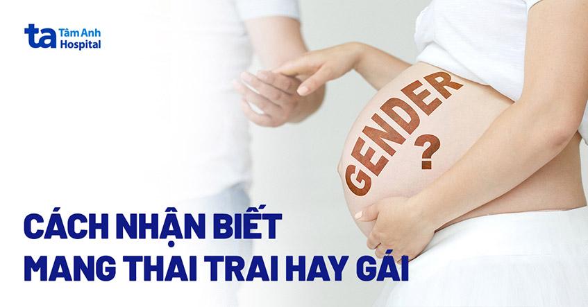 Mèo bầu màu vàng đang ăn