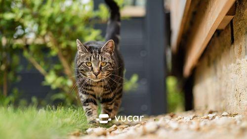 Giải Mã Giấc Mơ Thấy Đeo Vàng Và Con Số May Mắn