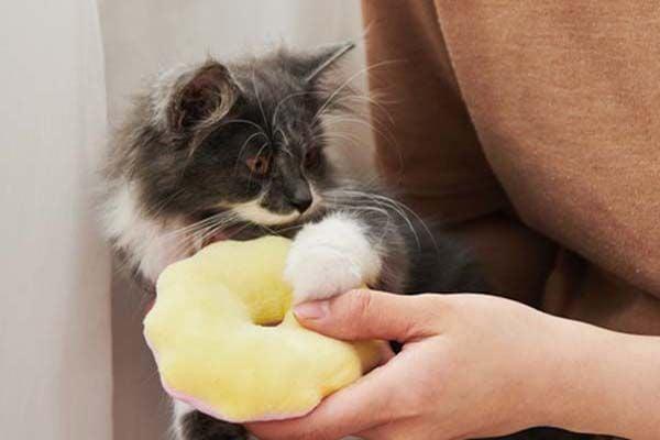 Nằm Mơ Thấy Chó Hên Hay Xui? Giải Mã Và Số Đề Liên Quan