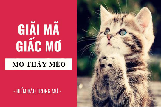 Giải Mã Giấc Mơ Thấy Cá Ngựa Và Những Con Số May Mắn