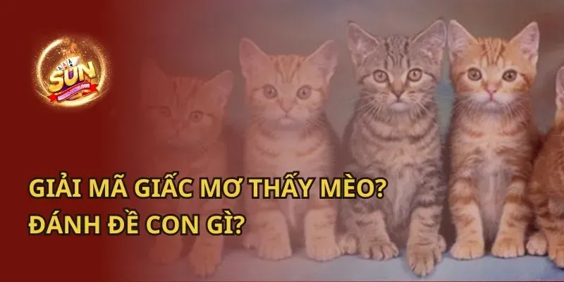 Giải Mã Giấc Mơ Thấy Bắt Cá Màu Đen