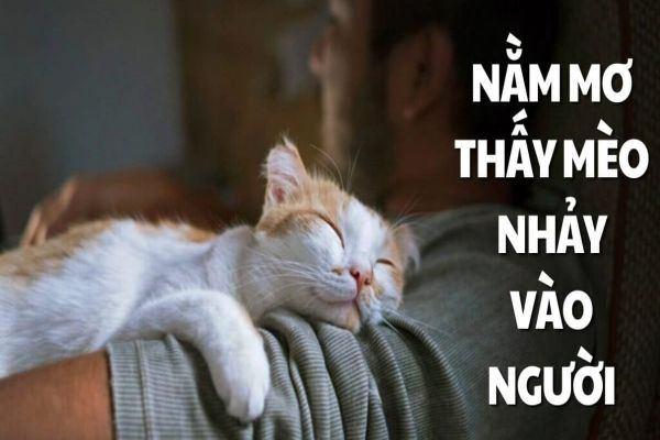 Nằm mơ thấy bạn thân chết đánh con gì?