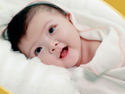Giải Mã Giấc Mơ Thấy Chuồng Heo và Số Đề Liên Quan