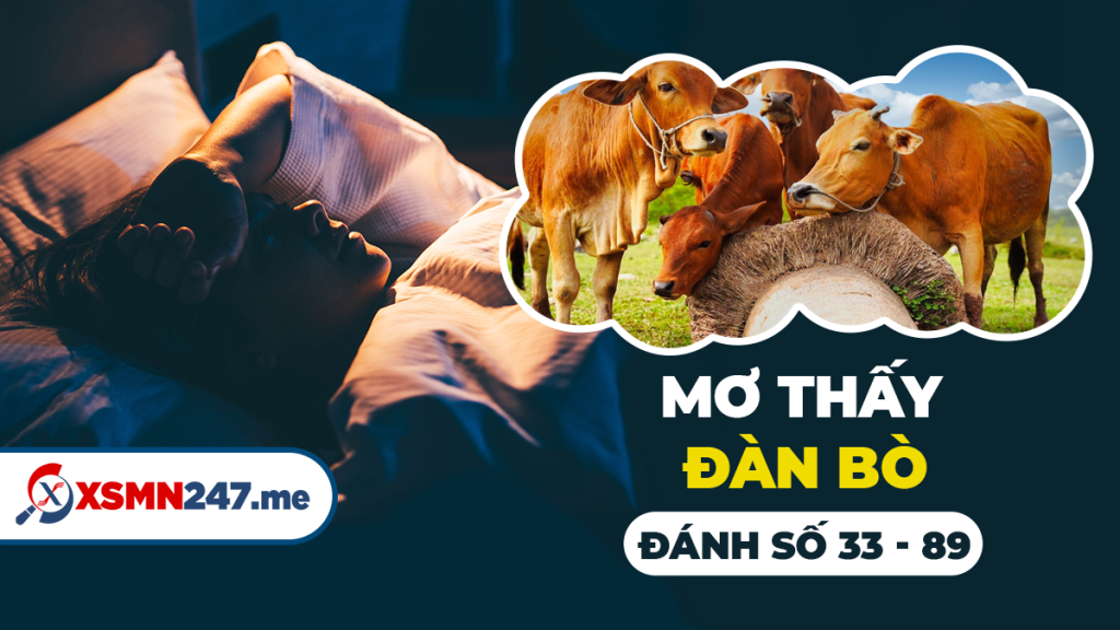 Nằm mơ thấy đàn bò đánh con gì?