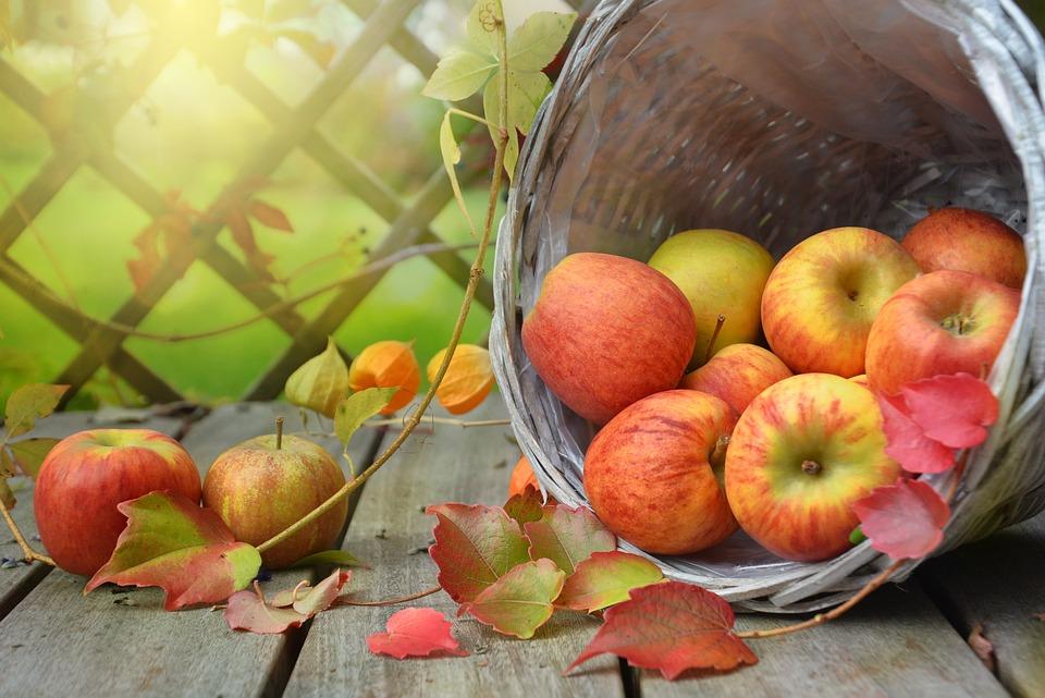 Giải Mã Giấc Mơ Thấy An Đồ Cúng