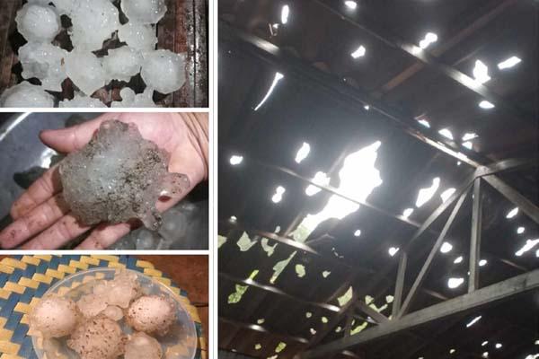 Giải Mã Giấc Mơ Thấy Cưỡi Ngựa Trắng