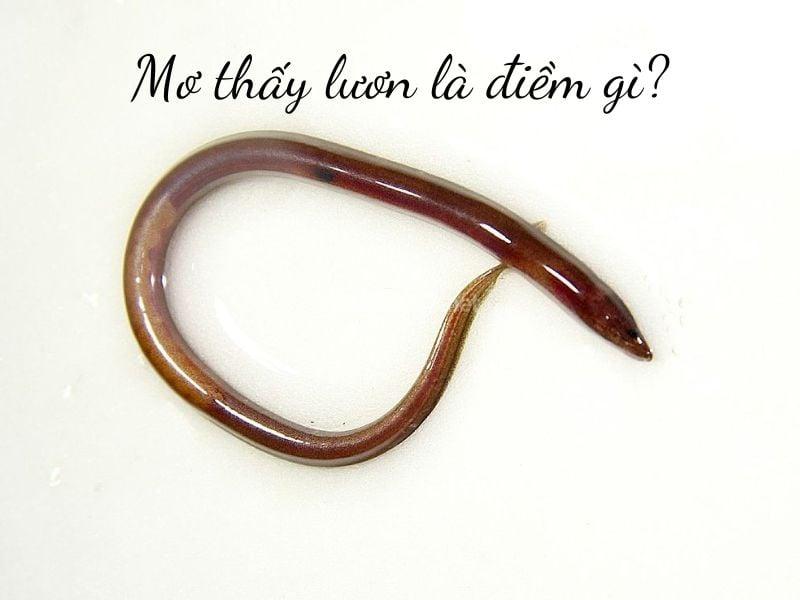Giải Mã Giấc Mơ Thấy Mình Xuất Gia Đánh Đề Con Gì?