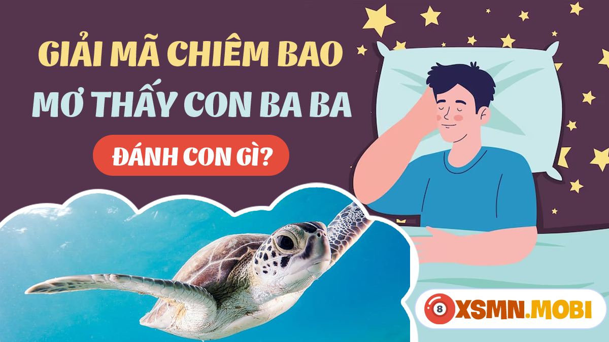 Nằm Mơ Thấy Cứt Đánh Con Gì? Giải Mã & Số Đề May Mắn