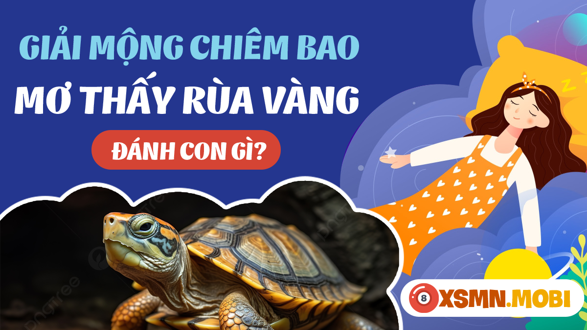 Nằm mơ bắt rùa vàng