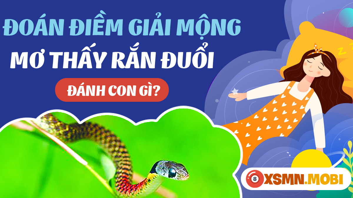Giải Mã Giấc Mơ Thấy Chó Đốm Và Con Số May Mắn