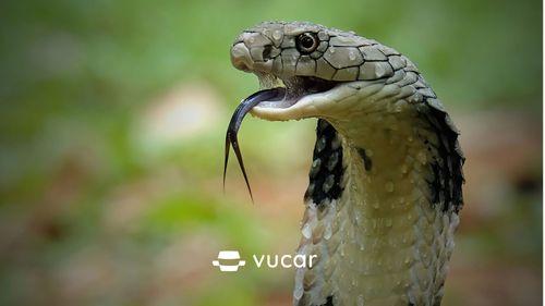 Giải Mã Giấc Mơ Rơi Xuống Nước Đánh Con Gì?