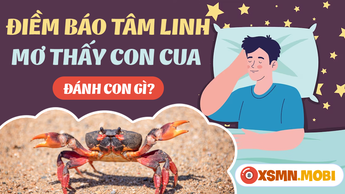 Giải Mã Giấc Mơ Thấy Bác Hồ Và Những Con Số May Mắn