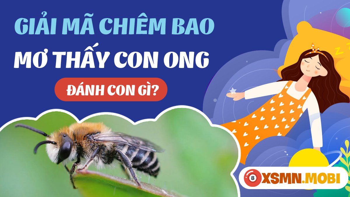 Nằm Mơ Thấy Cái Ly Đánh Con Gì? Giải Mã Chi Tiết