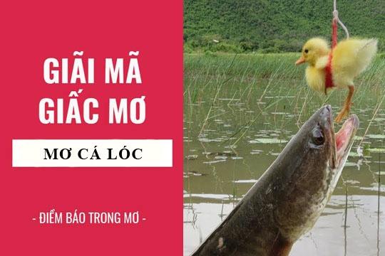 Giải Mã Giấc Mơ Thấy Mua Trái Cây Và Con Số May Mắn