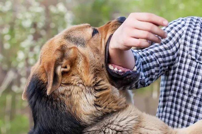 Nằm Mơ Thấy Em Bé Bị Đuối Nước: Giải Mã Lô Đề