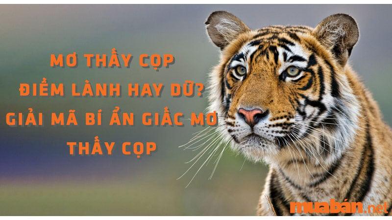 Nằm Mơ Thấy Lượm Vàng Đánh Số Mấy?