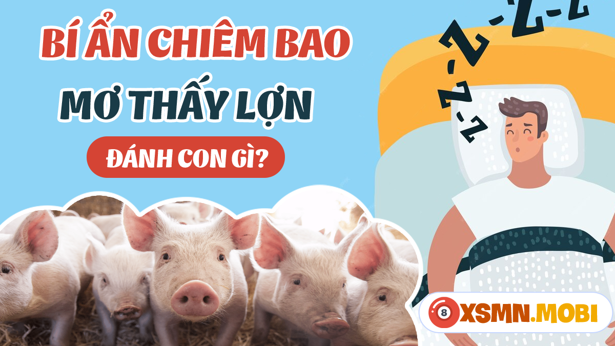Giải Mã Giấc Mơ Thấy Cóc Ếch: Điềm Báo Lộc Lá Hay Xui Xẻo?