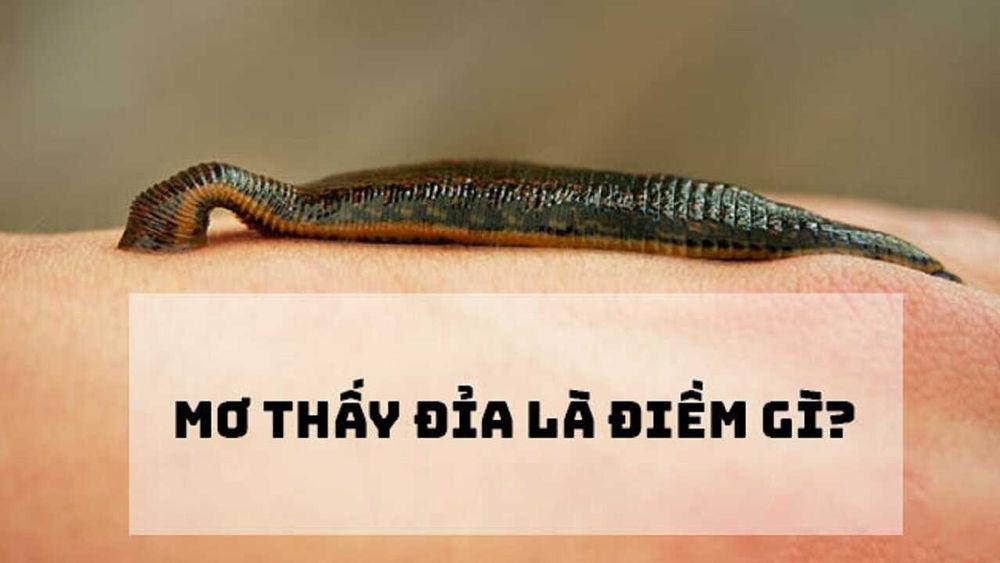 Nằm Mơ Thấy Con Rết Đánh Số Gì? Giải Mã Chi Tiết