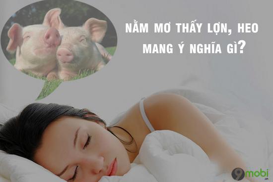 Nằm Mơ Thấy Quan Tài Đánh Số Gì? Giải Mã Chi Tiết
