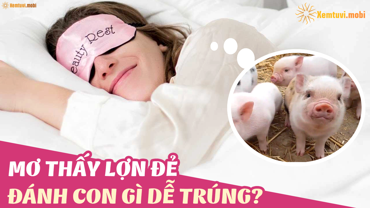 Nằm Mơ Bắt Cá Lóc Đánh Con Gì? Giải Mã Chi Tiết