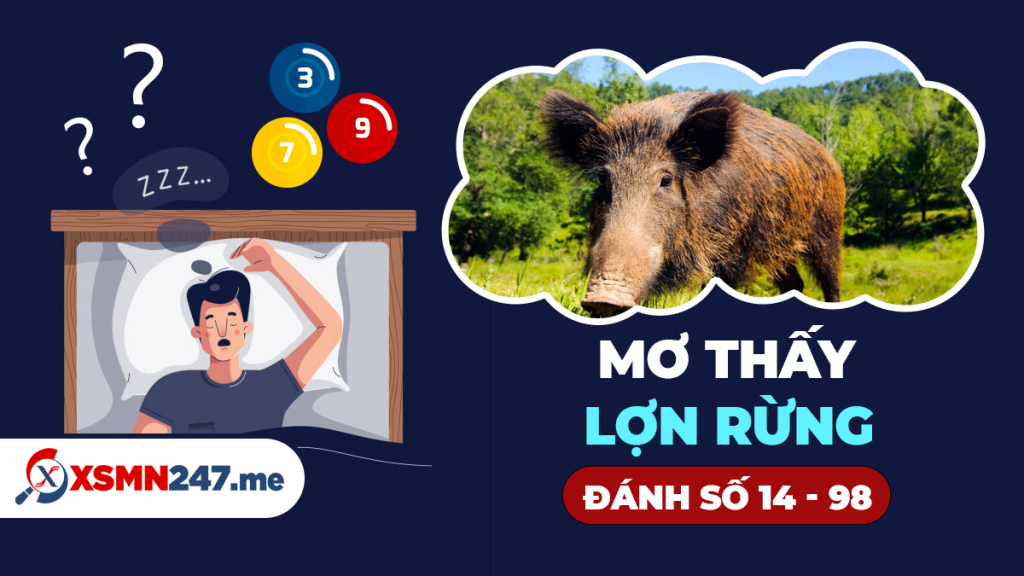 Nằm Mơ Thấy Bị Công An Rượt Đuổi: Giải Mã Lô Đề
