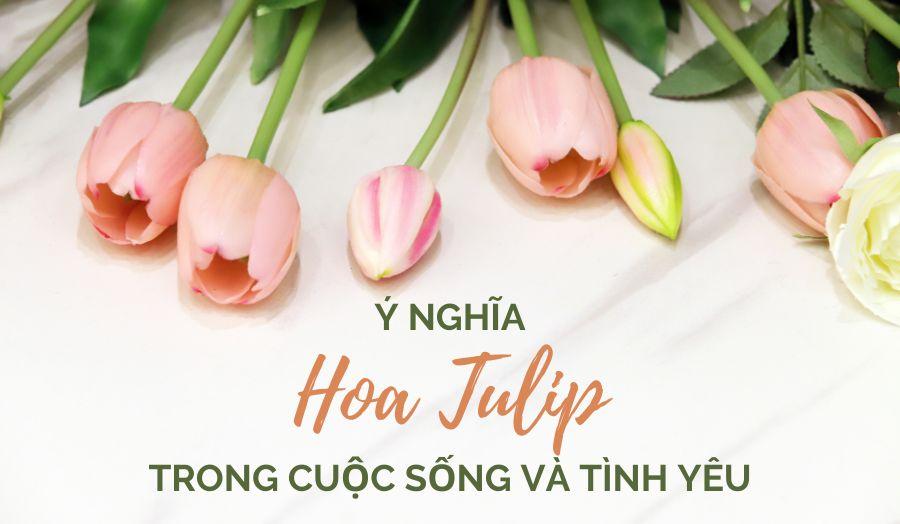 Giải Mã Giấc Mơ Thấy Mình Giúp Đỡ Người Khác