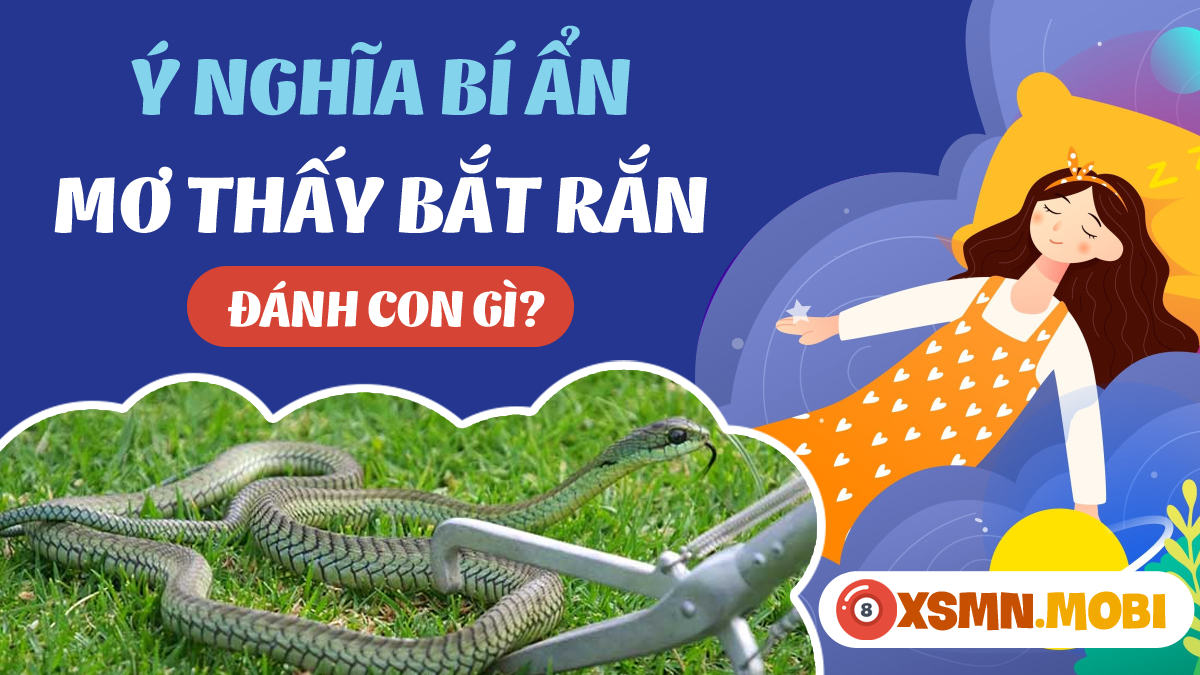 Nằm mơ thấy mình dưới bắt rắn dưới nước