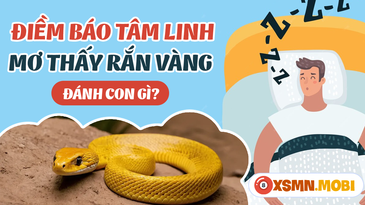 Giải Mã Giấc Mơ Trang Sách Hồng Nằm Mơ Màng Ngủ