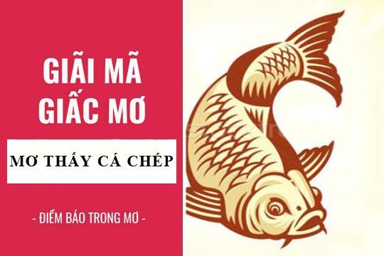 Nằm Mơ Thấy Giận Người Yêu Đánh Con Gì?
