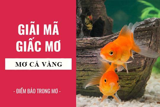 Giải Mã Giấc Mơ Thấy Nhặt Được Tiền Và Vàng