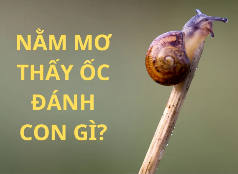 Nằm Mơ Thấy Hôn Thần Tượng: Giải Mã &amp; Số Đề Liên Quan