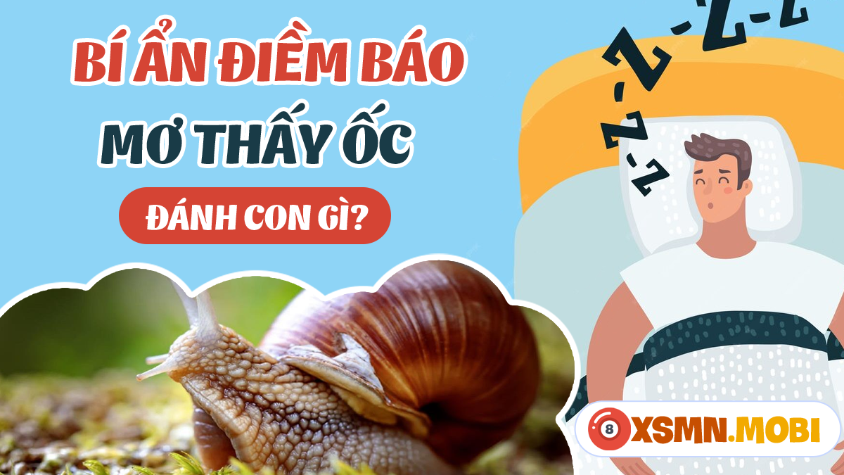 Nằm Mơ Thấy Hôn Thần Tượng: Giải Mã &amp; Số Đề Liên Quan