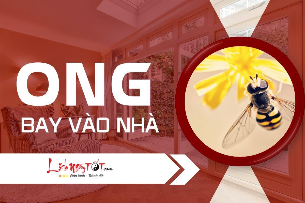 Giải Mã Giấc Mơ Thấy Mình Ngã Xe Máy
