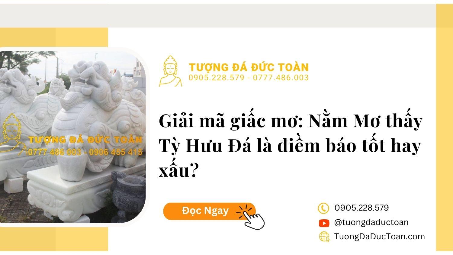 Nằm Mơ Thấy Cứu Cá Heo: Giải Mã Và Số Đề Liên Quan