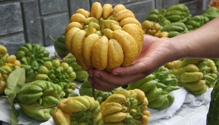 Nằm Mơ Thấy Nói Chuyện Với Mẹ Đã Mất: Giải Mã & Số Đề