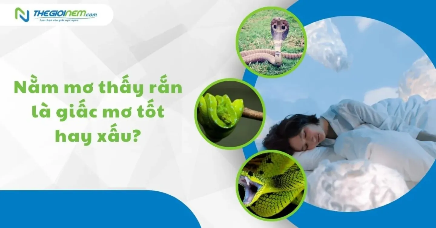 Nằm mơ thấy rắn ban đêm