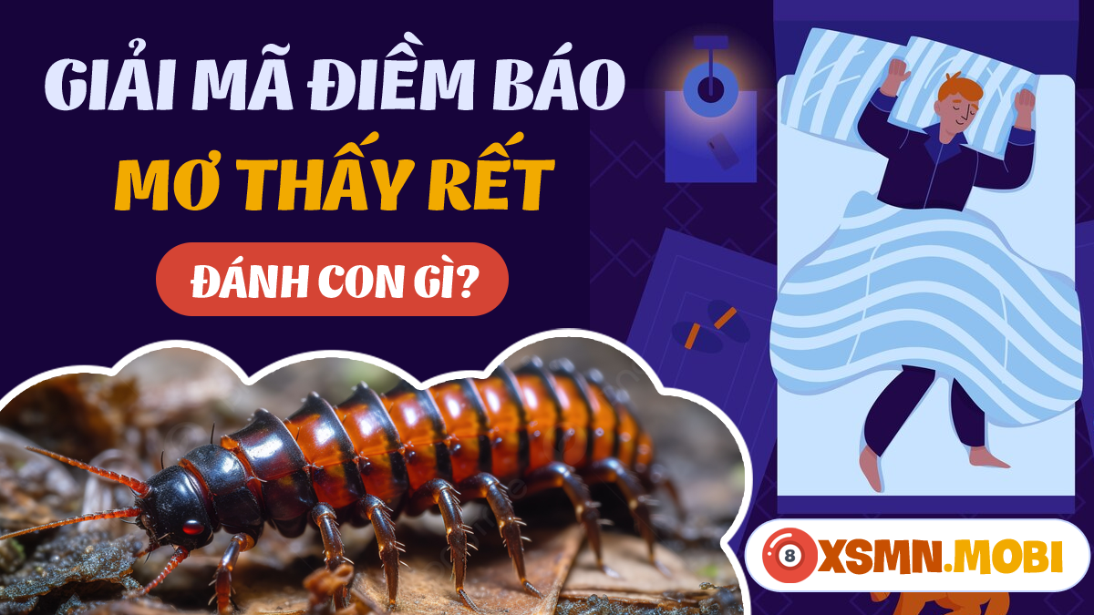 Nằm mơ thấy rết đánh con gì? Giải mã số đề liên quan đến giấc mơ thấy rết