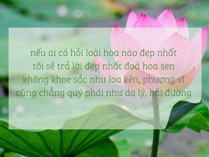 Nằm mơ mất xe đạp điện đánh con gì? Giải mã chi tiết