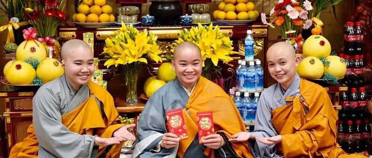 Nằm Mơ Thấy Vịt Chết Đánh Con Gì? Giải Mã Chi Tiết