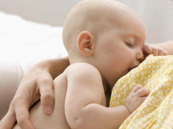Giải Mã Giấc Mơ Thấy Con Ngựa Đen
