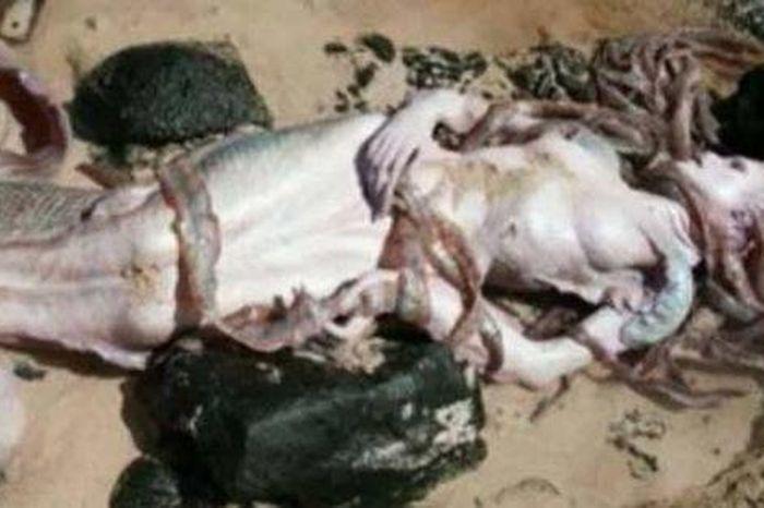 Nằm mơ thấy trẻ con chết đánh con gì? Giải mã chi tiết
